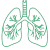 RESPIRATORY RESPIRATORY